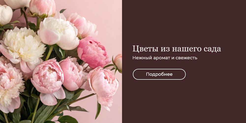 Баннер